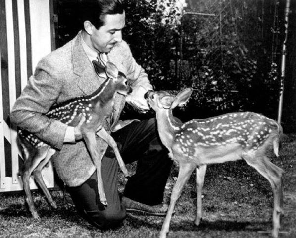 Walt Disney and Bambi