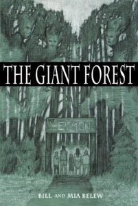 Chapter book for preteens