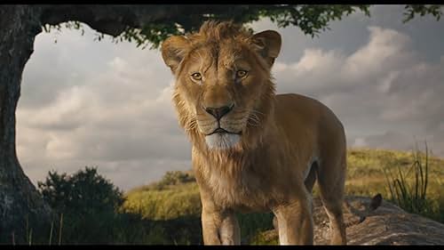 12 Leadership Qualities of Mufasa from ‘The Lion King’